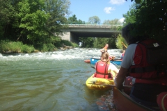 Radolfzeller_Aach_06