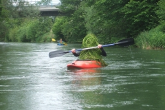 Radolfzeller_Aach_16