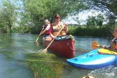 Radolfzeller_Aach_10