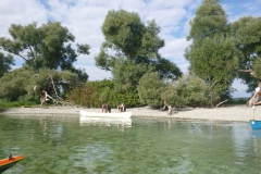 P1000152