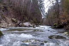 5-Stufe-bei-NW