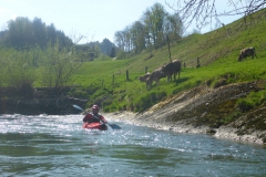 2018_04_21-2-Sitter-second-4