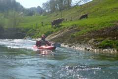 2018_04_21-2-Sitter-second-6