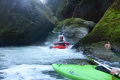 2018_04_21-2-Sitter-second-7