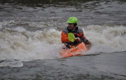 Donauwelle