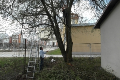 Aktionstag_04