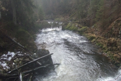 Wutach_06
