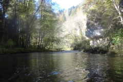 Wutach_13