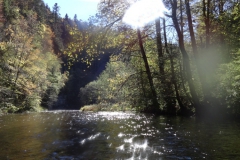 Wutach_16