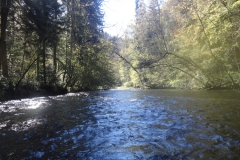 Wutach_18